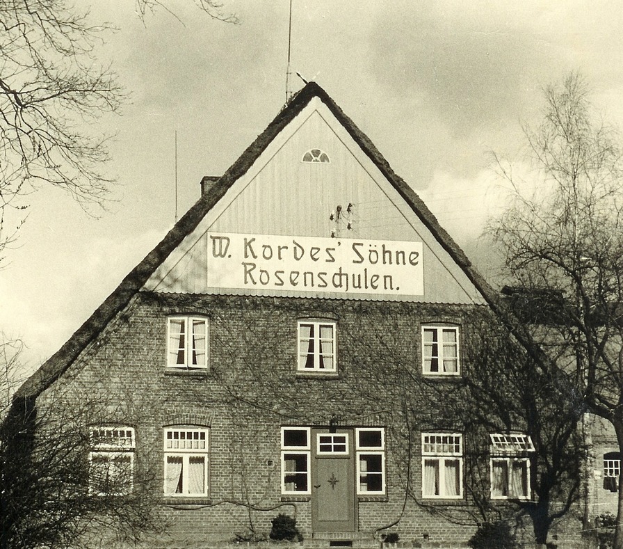 'Kordes & Sons, W.'  photo