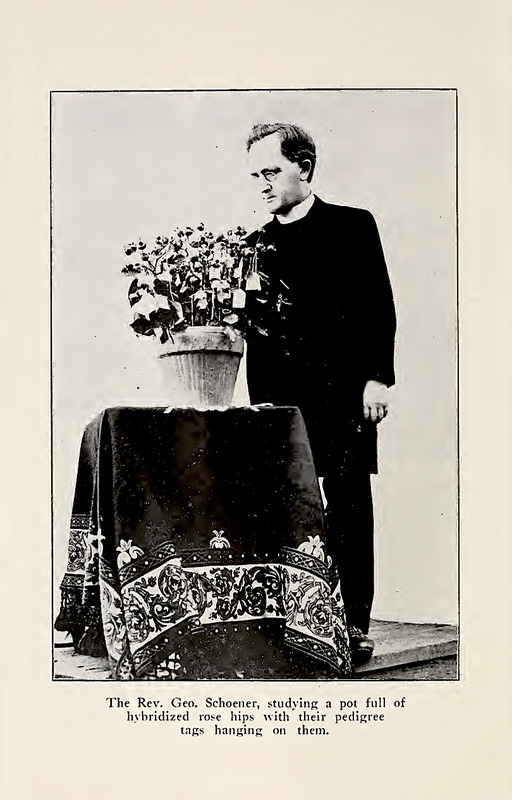 'Schoener, SJ, Fr. (Padre) George M.A.'  photo