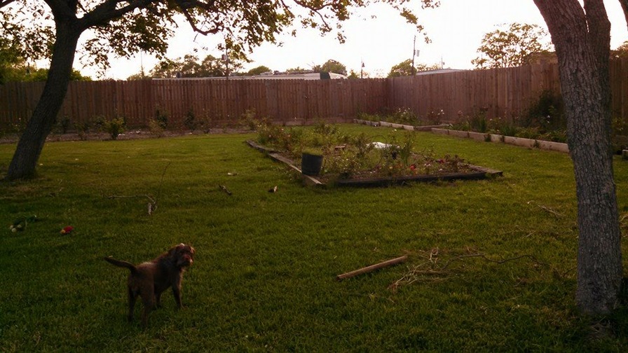 'Britt's Backyard'  photo