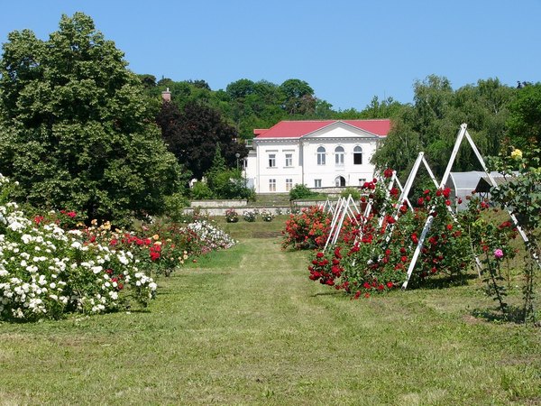 'Rose Garden Budatétény'  photo