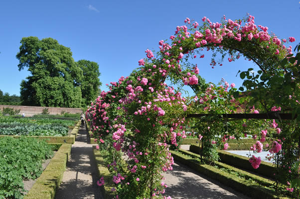 'Fredensborg Palace Garden'  photo