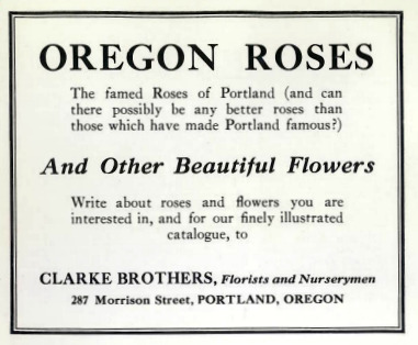 'Clarke Brothers, Florists (Archive of 1925-27 offerings)'  photo