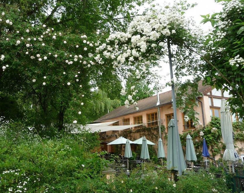 'Landhaus Ettenbühl'  photo