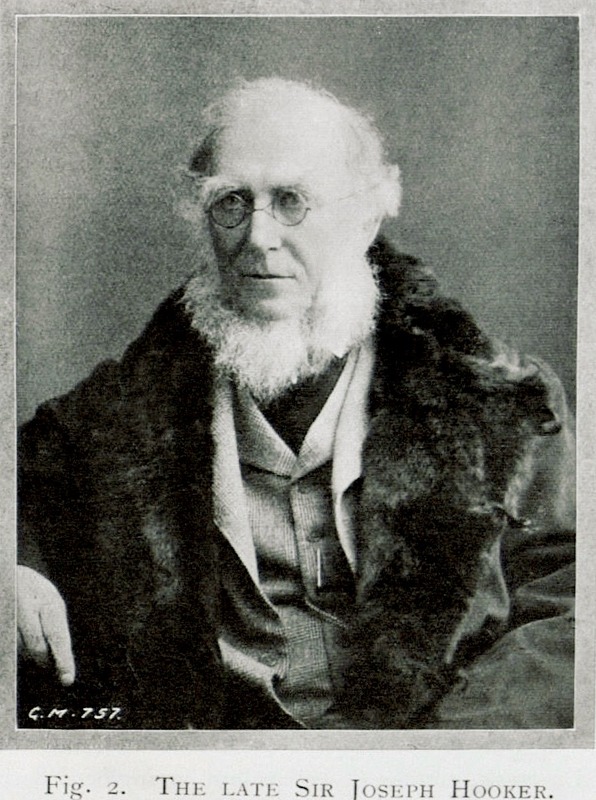 'Hooker, M.D., Sir Joseph Dalton'  photo