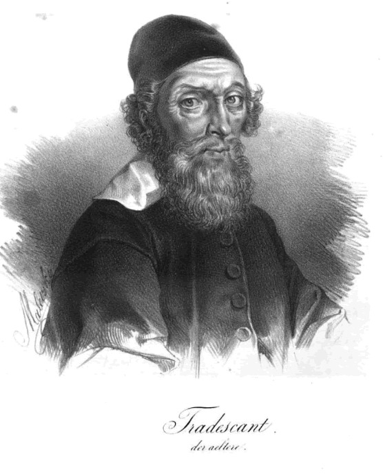 'Tradescant the Elder, John'  photo