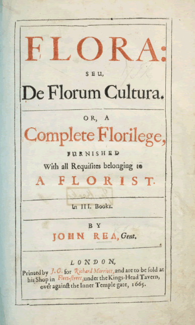 'Flora: seu, De Florum Cultura'  photo