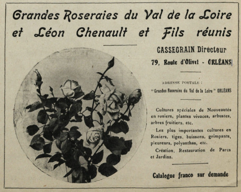 'Grandes Roseraies du Val de la Loire'  photo