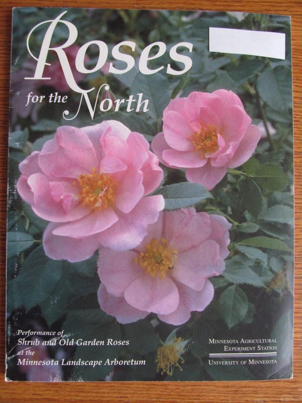 'Roses for the North: Performance of Shrub and Old Garden Roses at the Minnesota Landscape Arboretum'  photo