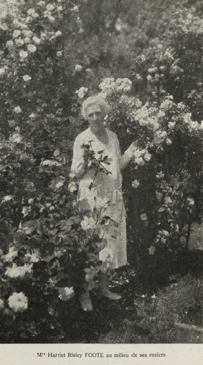 'Foote, Harriett Risley'  photo