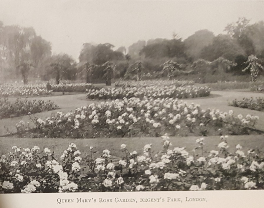 'Queen Mary's Gardens'  photo