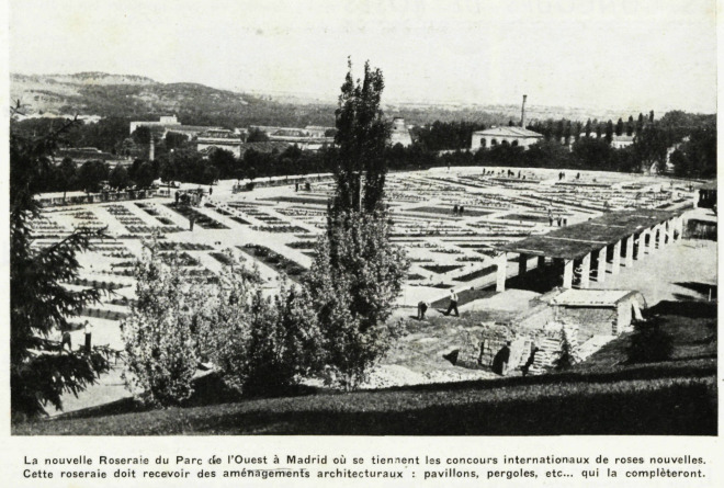 'Rosaleda del Parque del Oeste / Jardin de Ramón Ortiz'  photo