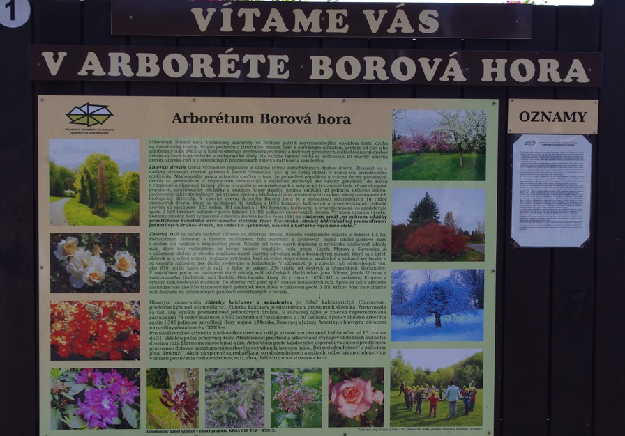 'Arboretum Borova hora - Rosarium'  photo