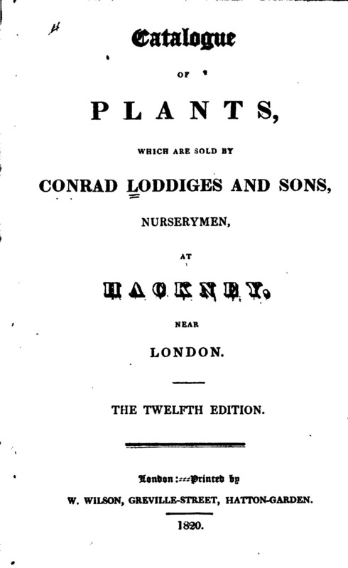 'Catalogue of Plants Which Are Sold by Conrad Loddiges And Sons, 1820'  photo