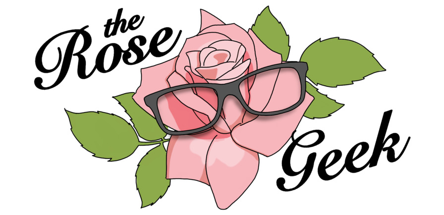 'The Rose Geek'  photo