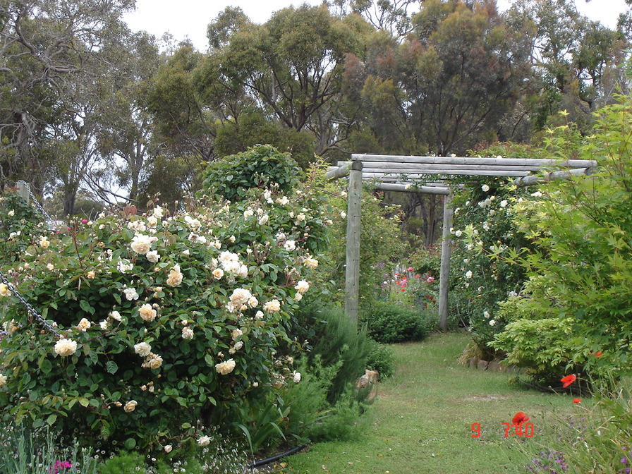 'Earthheal Organic Garden (Judy and Robert  Leahy)'  photo