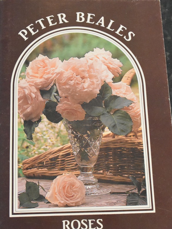 'Peter Beales Rose Catalogue'  photo