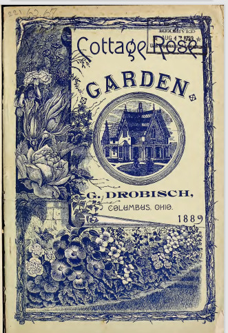 'G. Drobisch Co. Cottage Rose Garden'  photo