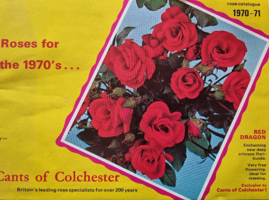 'Cants of Colchester Ltd.'  photo