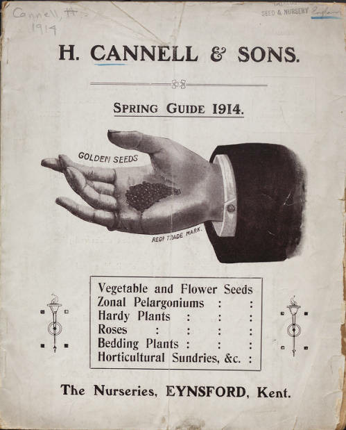 'H. Cannell & Sons'  photo