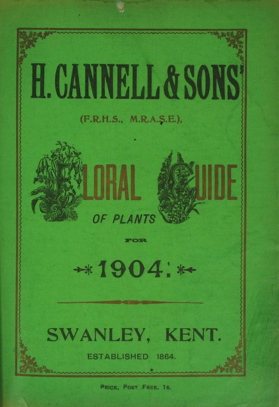 'Cannell & Sons, H.'  photo