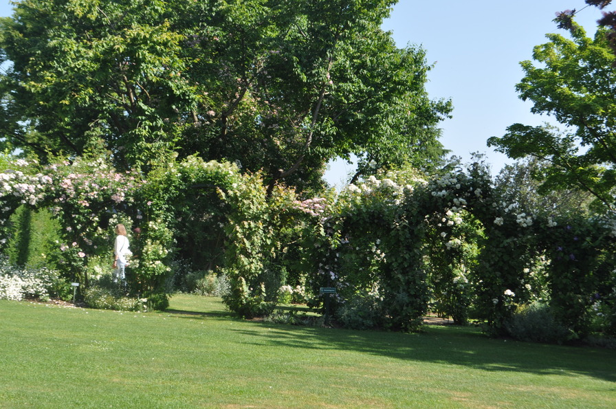 'Landhaus Ettenbühl'  photo