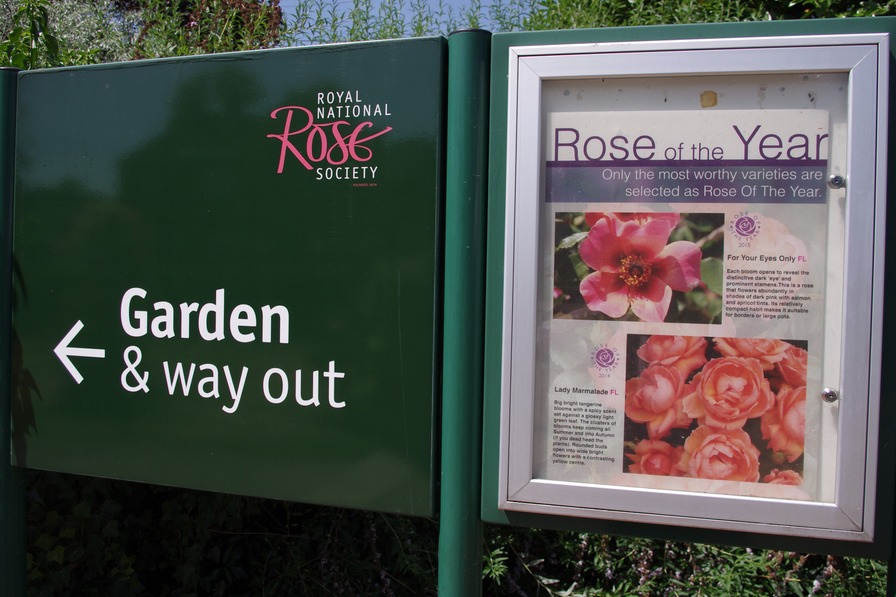 'Gardens of the Rose (St. Albans)'  photo