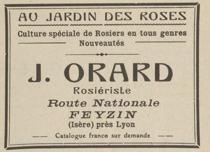 'Roseraies Orard'  photo