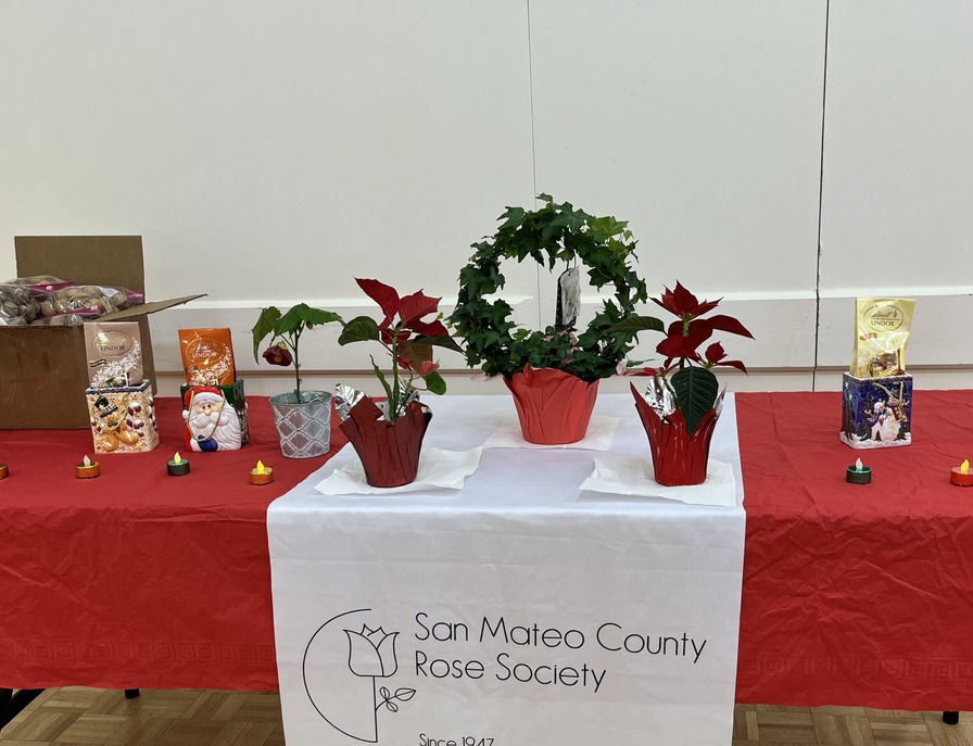 'San Mateo County Rose Society'  photo
