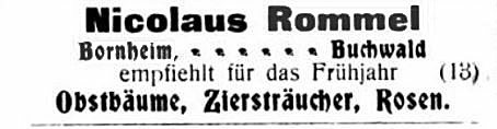 'Rommel, Nikolaus'  photo