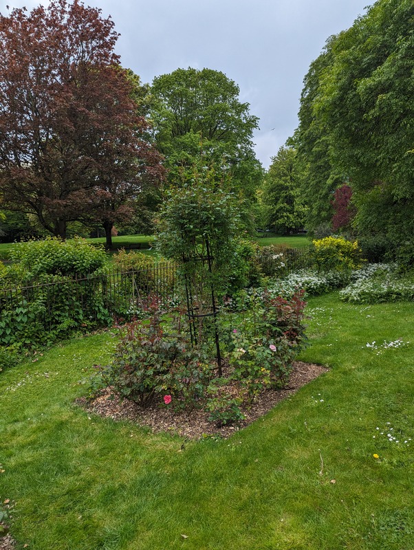 'Bath Botanical Garden'  photo