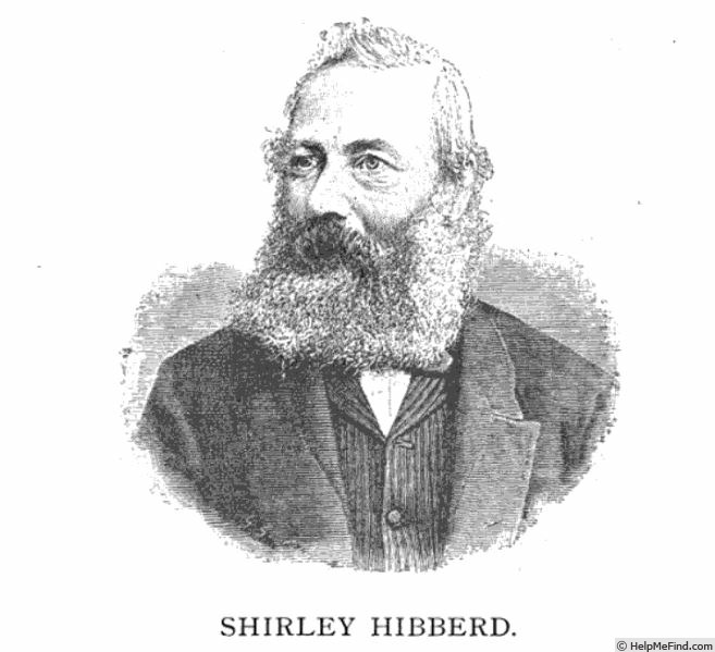 'Shirley Hibberd' rose photo