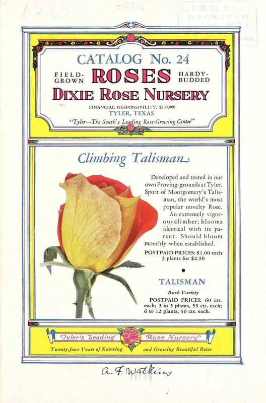 'Dixie Rose Nursery  Archive'  photo