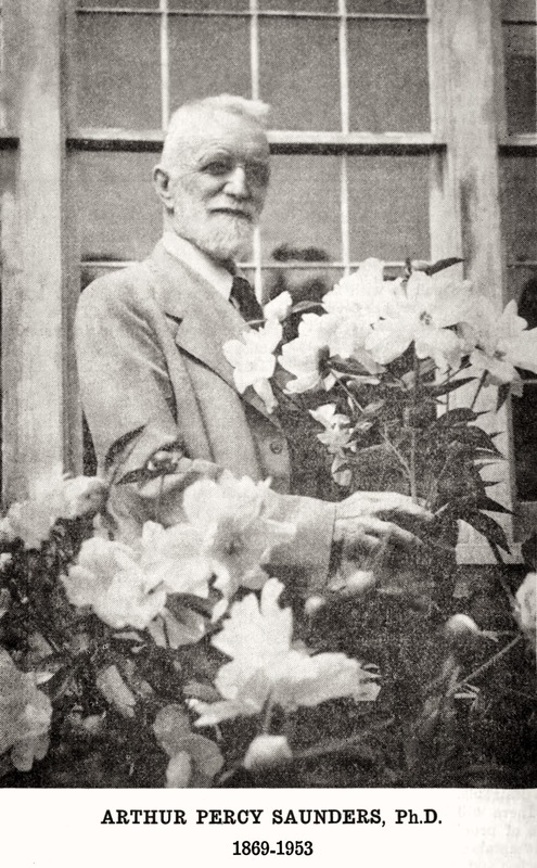 'Saunders, Prof. Arthur Percy'  photo