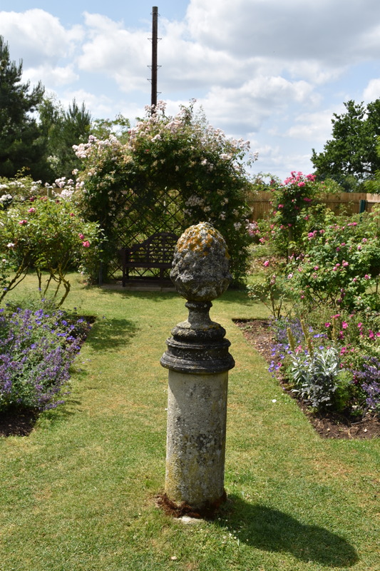 'Peter Beales Roses'  photo