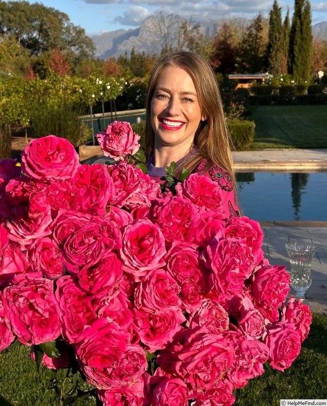 'Natalie Douglas' rose photo