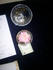 Ashton rose photo