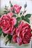Oberhofgärtner A. Singer rose photo