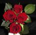 Ralph Moore ™ rose photo