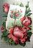 Marquise Litta rose photo