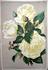 Grossherzogin Victoria Melita rose photo