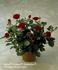 Isabel Hit ® rose photo