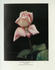 Madame Vermorel rose photo
