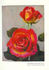 Desmond Johnston rose photo