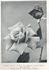 Covent Garden rose photo
