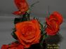 Shine On ™ rose photo