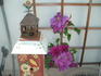 C. 'Barbara Dibley' clematis photo