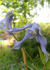 Hendersonii clematis photo