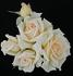 Sweet Melody rose photo