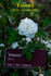 Yosooi rose photo