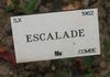 Escalade rose photo